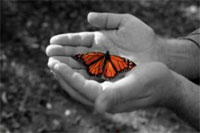 Cultivating Empathy
