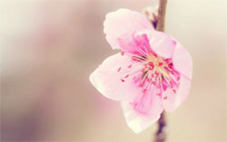 A Prayer for Learning from Pain