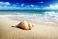 Mindfulness