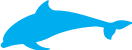 Dolphin 2018