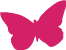 Butterfly 2015