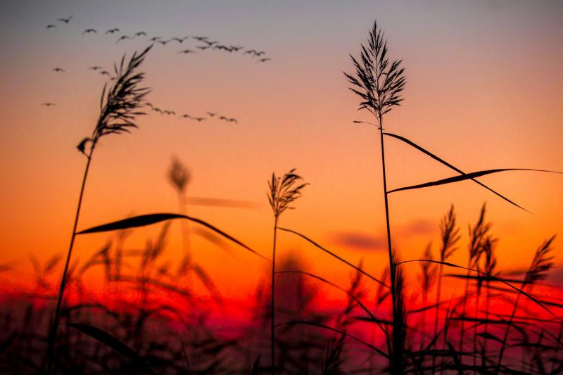 Setting Boundaries: The Recipe to Self-Esteem