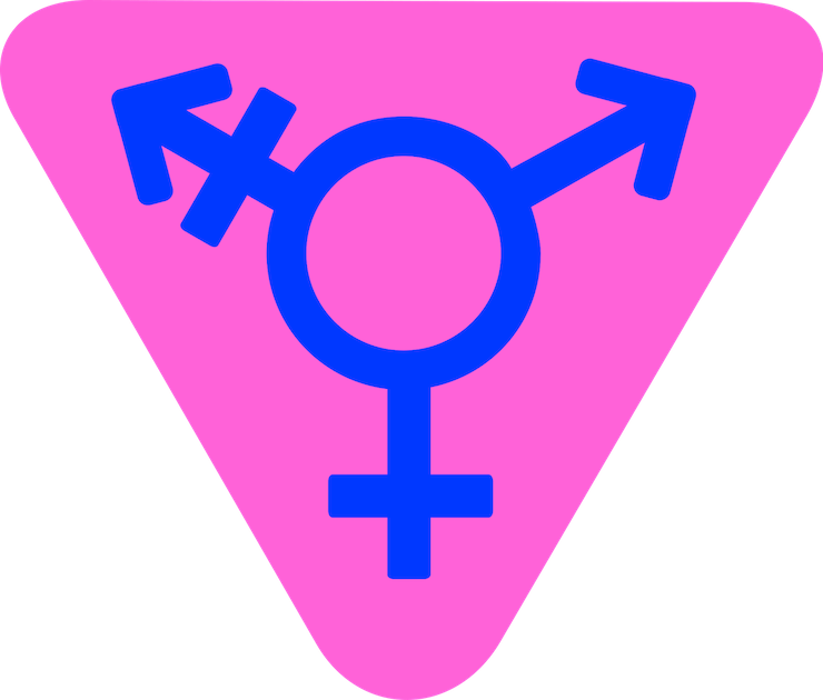 Difference between transgender and transexual