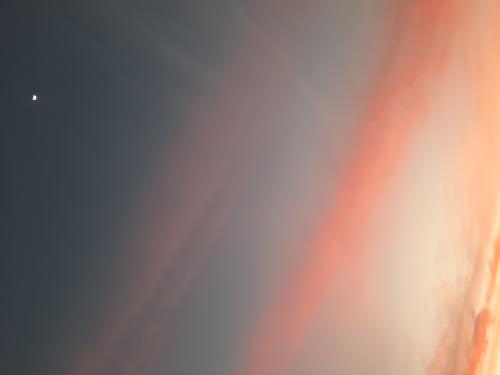 20260918-182950_1789720468.jpg