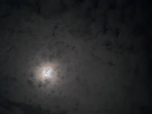 20260924-004719_1790204457.jpg