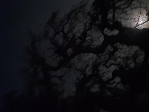 20260926-194957_1790465283.jpg