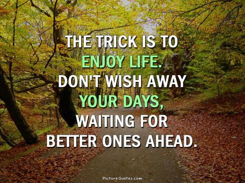 enjoy-life-now_1791754513.jpg
