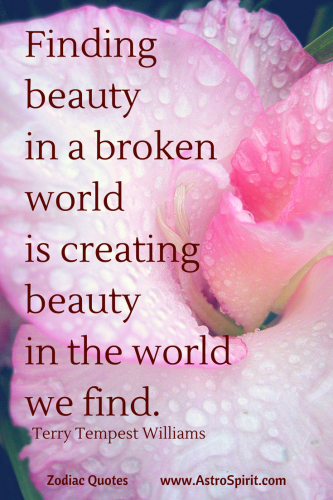 finding-beauty-in-a-broken-world-is-creating-beauty-in-the-world-we-find-2-2087918297_1790217622.png
