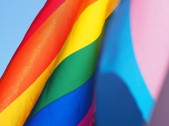 How do I come out to my family that completely hates the LGBTQ+ community or should I just not tell them? Expert answers & advice.