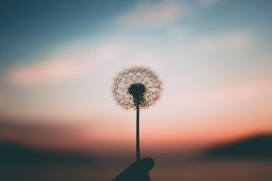 what are some good and healthy distractions from my anxiety when it gets really bad?
  Expert answers & advice.