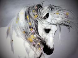 Profile: SilentSerenityy