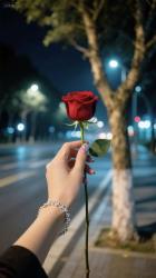 User Profile: Diinnaa