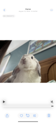 User Profile: WaffleBunny29