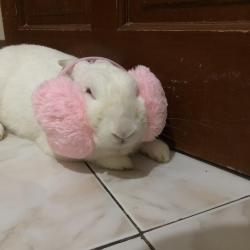 User Profile: NymphaLuna
