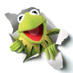 User Profile: wonderfulKermit1936
