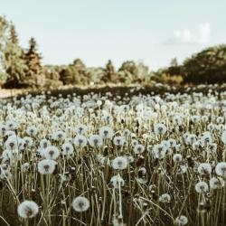 User Profile: YourEngravings