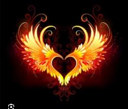User Profile: Phoenixthefirebird