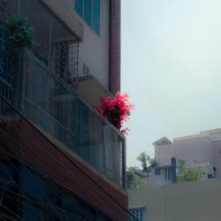 User Profile: kindPanda62