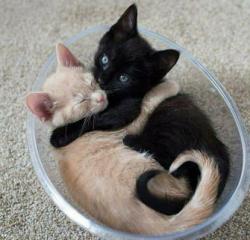 User Profile: Fuzzymama