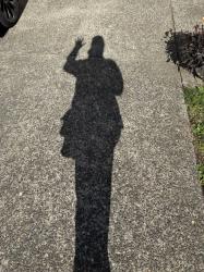 User Profile: gracefulWhisper757