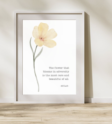 User Profile: Wallflower3499