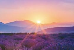 User Profile: kaysunrise
