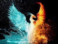 User Profile: ThePhoenixSystem