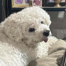 User Profile: haymawin325