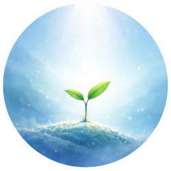 User Profile: RecoveryTom