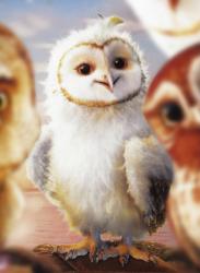 User Profile: Owlie