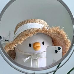 User Profile: considerateDeer161