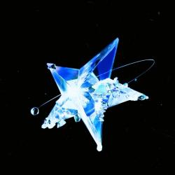 User Profile: Oxypetalumblue3119