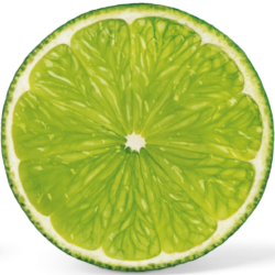 Profile: lime9226