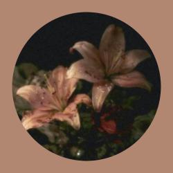 User Profile: awesomeHeart300