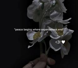 User Profile: Ursafeplace14