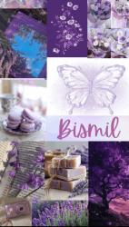 User Profile: Bismil66