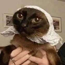 User Profile: marshmallowsarah1000