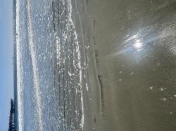 User Profile: colourfulBeach2744