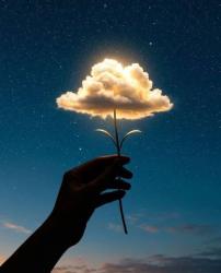 User Profile: Light1212