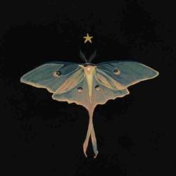 User Profile: maia102