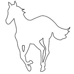 User Profile: FlayyyyL