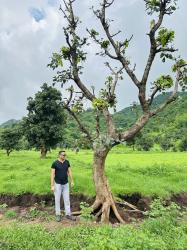 User Profile: Panchu90