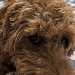 User Profile: blunty1