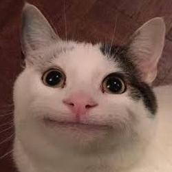 User Profile: someoneexisting2626