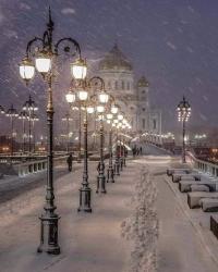User Profile: lavender0206