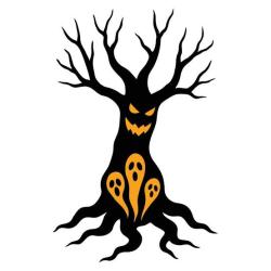 User Profile: AsherTree