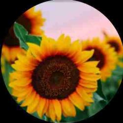 User Profile: Mitwa0708