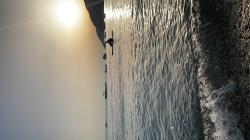 User Profile: Xhoni14