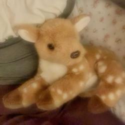 User Profile: bubbles4jasper
