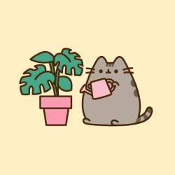 User Profile: Emmur